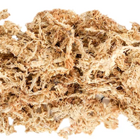 Golden Sphagnum Moss
