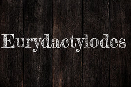 Eurydactylodes