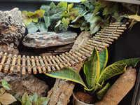 Bamboo Bridge - 4" Width