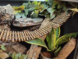 Bamboo Bridge - 4" Width