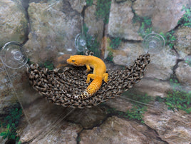 Braided Paracord Hammock