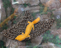 Braided Paracord Hammock
