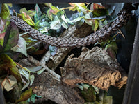 Braided Paracord Bridge
