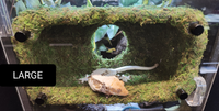 Magnetic Mossy Hide
