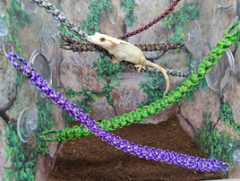 Paracord Vine