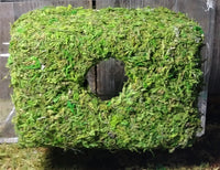 Magnetic Mossy Hide