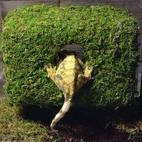Magnetic Mossy Hide