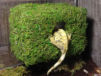 Magnetic Mossy Hide