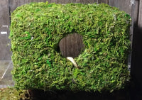 Magnetic Mossy Hide