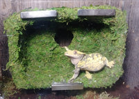 Magnetic Mossy Hide