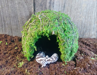 Mossy Dome Hide