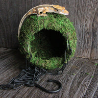Mossy Hide with Chain