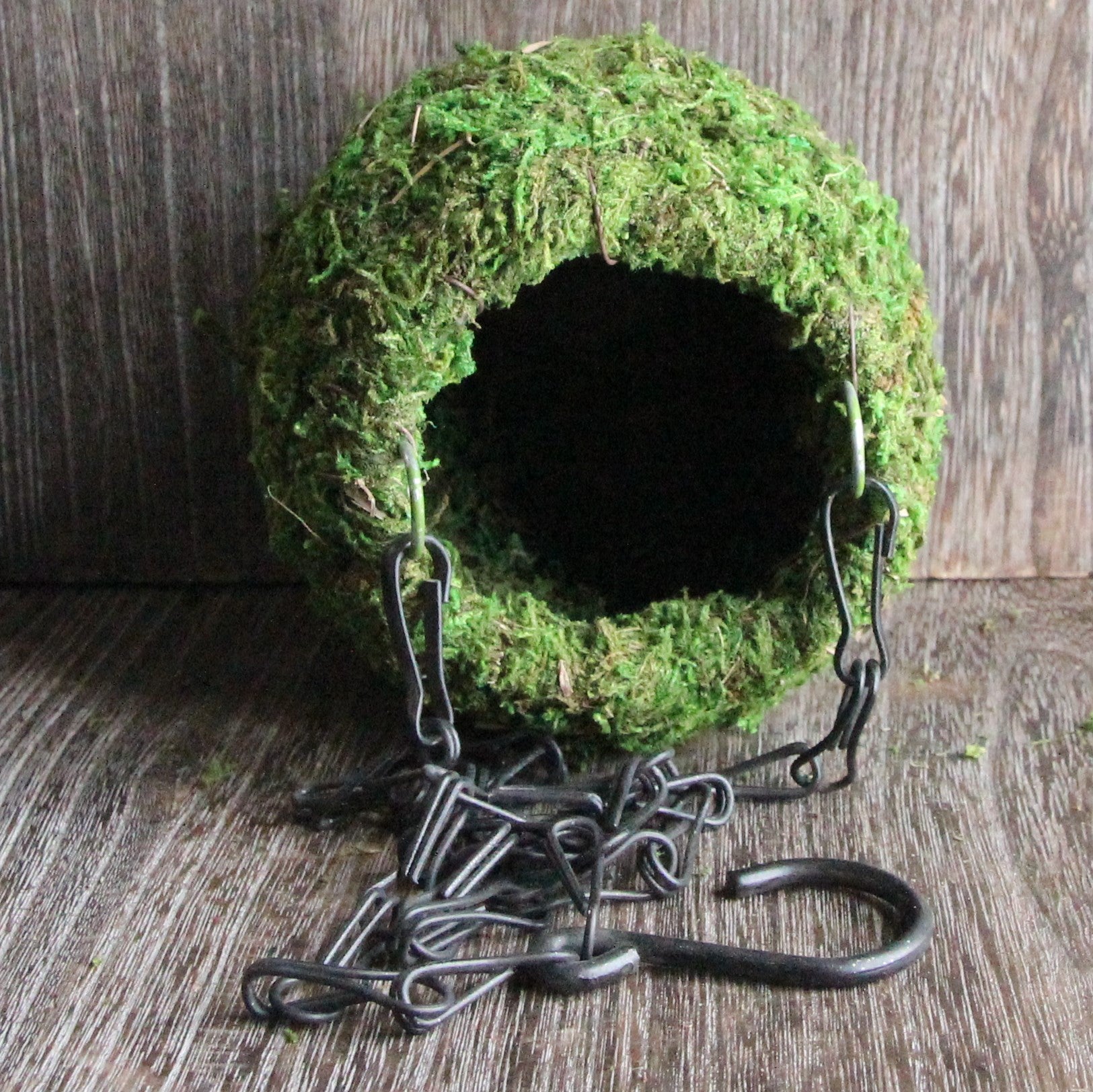 Mossy Hide with Chain The Reptiles of Eden
