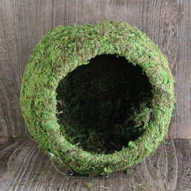 Mossy hide with holes
